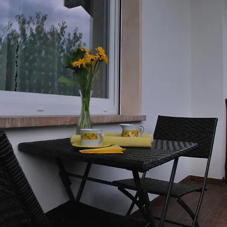 Casa Di Tea Apartment Pieve di Cadore Exterior photo